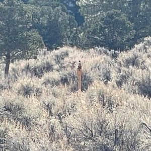 Meet your Posher, Kara